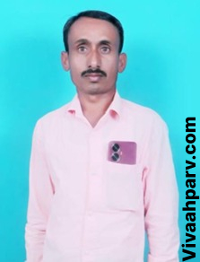 VHP29628