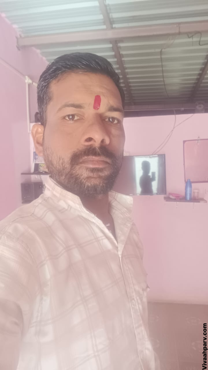 VHP31495