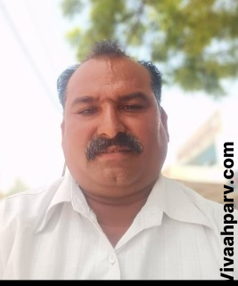 VHP29018